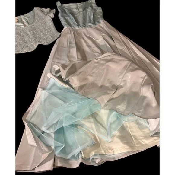 Victoria Royale Ltd. Size 12 Beaded baby Blue Evening Gown 100% silk 2pc - Picture 14 of 16